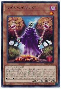 遊戯王　ノーマル　レア大量 遊戯王 51ayzU8B6fL._AC_UL210_SR210,